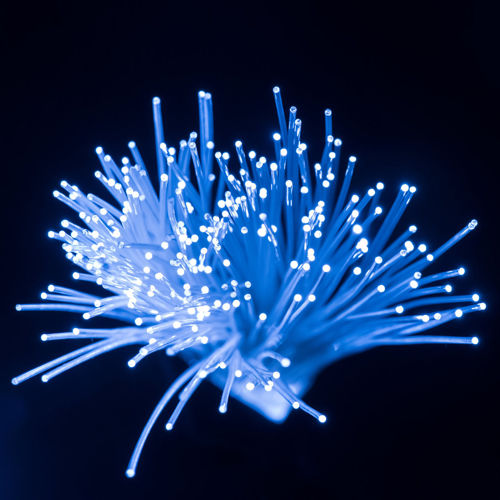 Decor Lighting Fixtures - 100 Metre Işık Kılavuzlu Optik Fiber